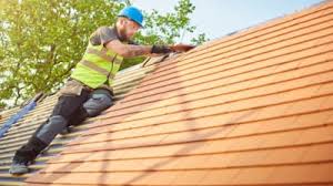 Best Roof Coating and Sealing  in Bayfield, CO