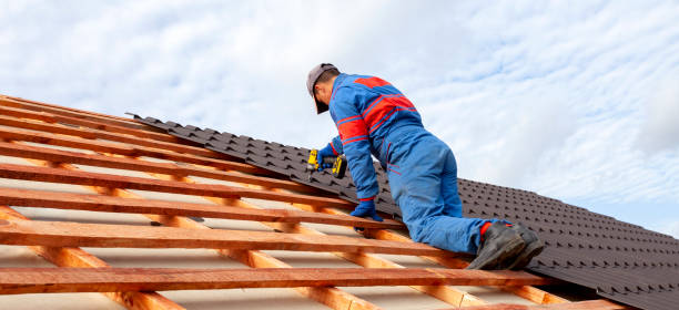 Best Roof Waterproofing  in Bayfield, CO