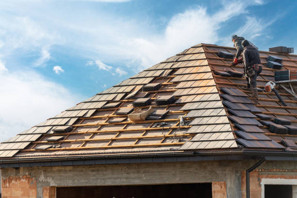 Best Emergency Roof Repair Services  in Bayfield, CO